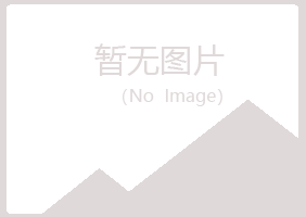 桐乡冰夏音乐有限公司